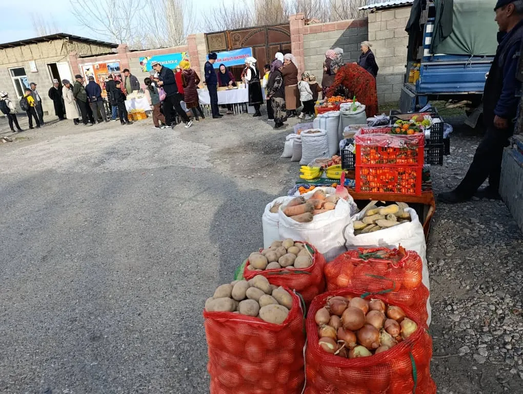 Ак-Сай айыл өкмөтүндө айыл чарба жарманкеси өткөрүлдү